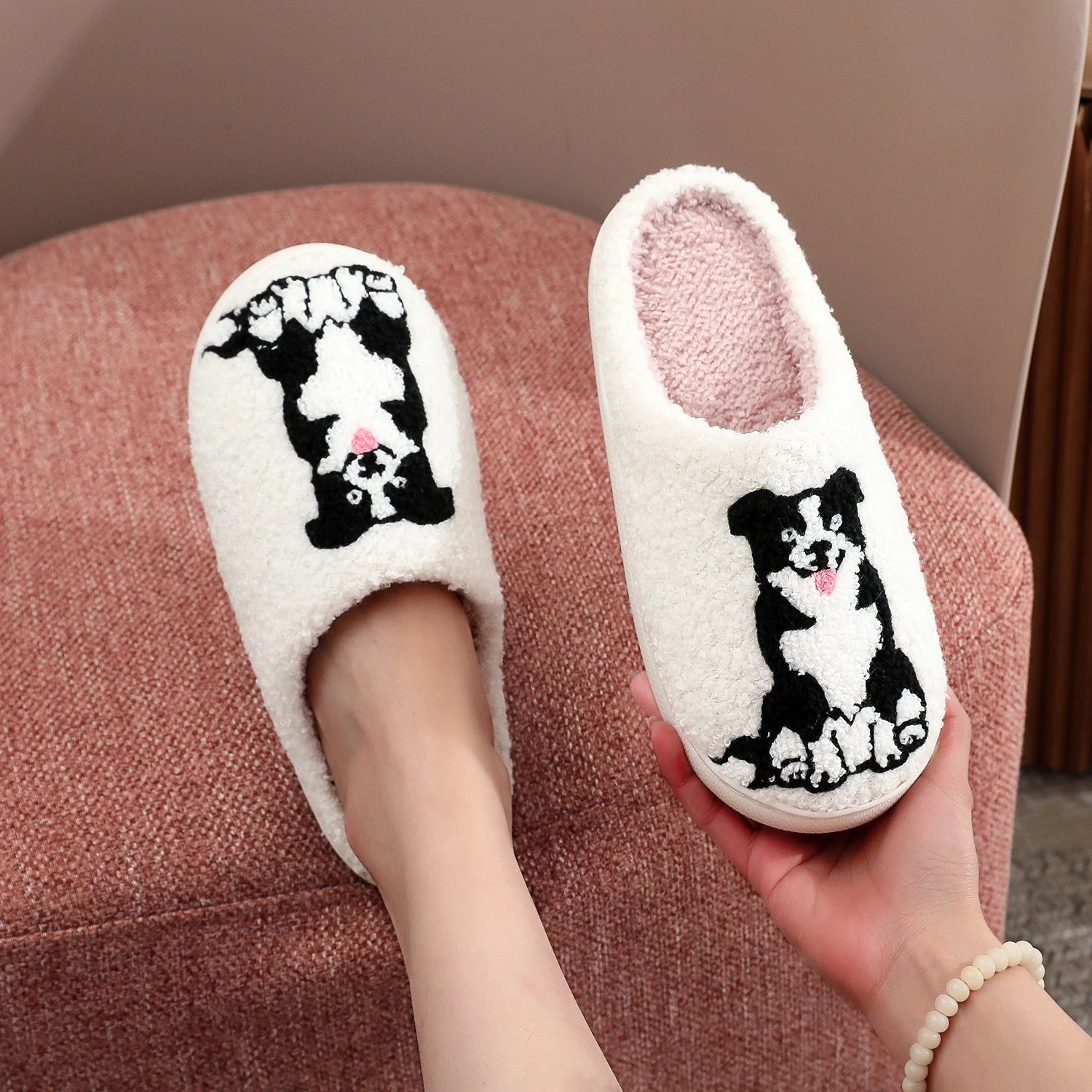 Pantufa Border Collie dog
