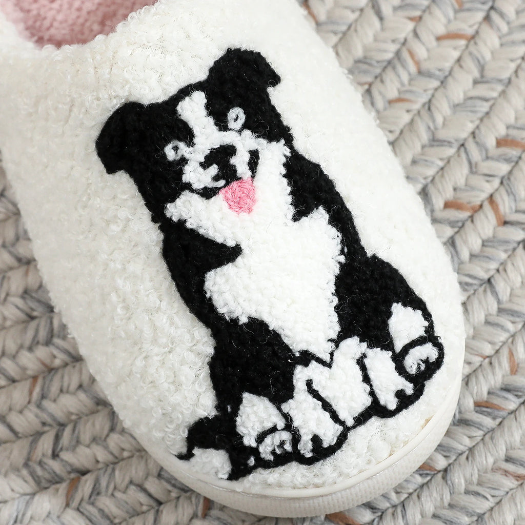Pantufa Border Collie dog