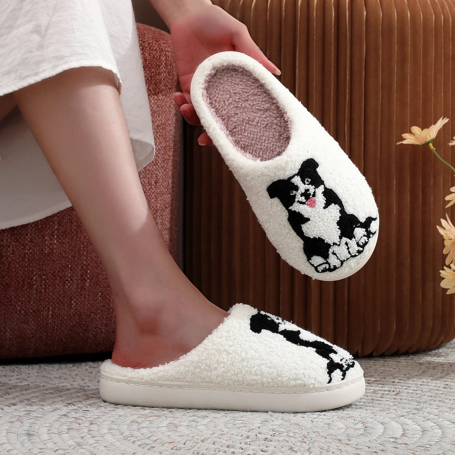Pantufa Border Collie dog